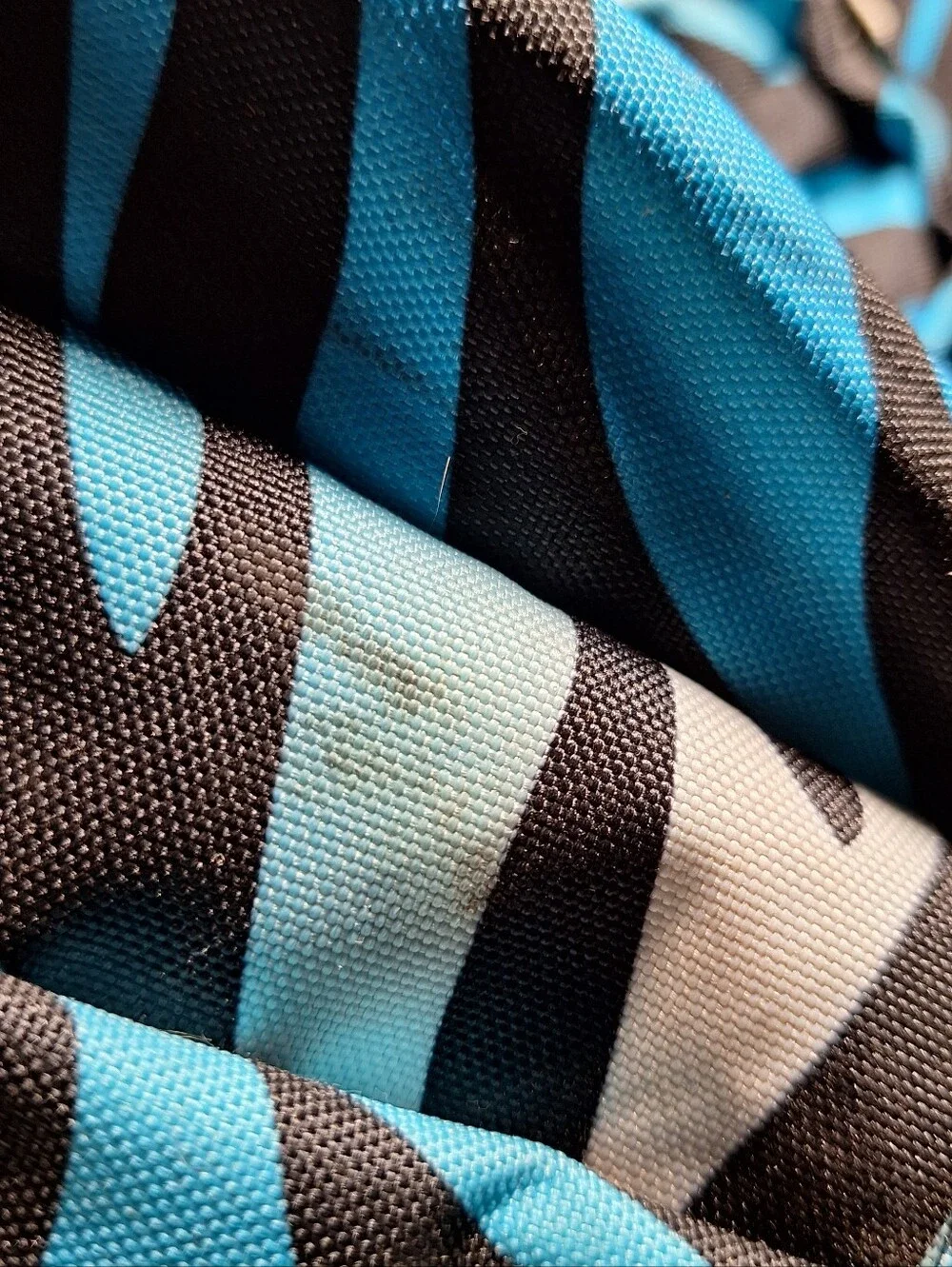 Jansport Backpack, Zebra Stripes, Black & Blue & White w/Blue Accents